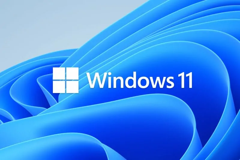Windows-11-Hero-Bloom-Logo.jpg